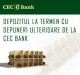 Foto Depozitul la termen cu depuneri ulterioare de la CEC Bank